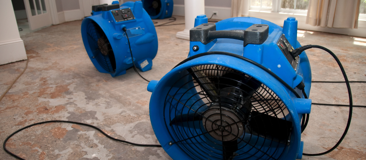 corporate restoration project moving and storage